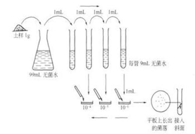 西安悟空檢測(cè)