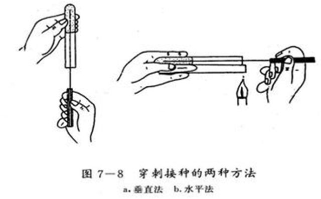 西安悟空檢測(cè)